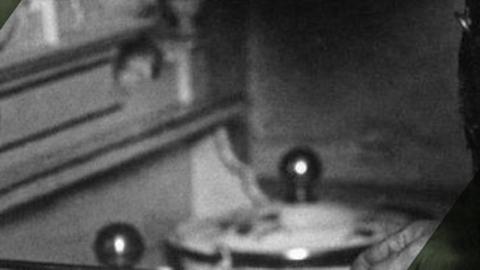 نظرة عامّة على أجور المصريين