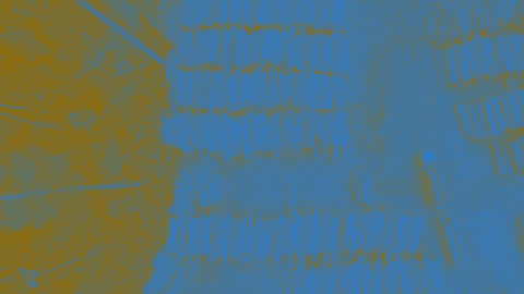 التبعات السياسية لتخفيض النمو