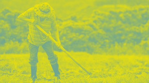 الزراعة في لبنان