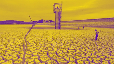 تونس والبنك الدولي