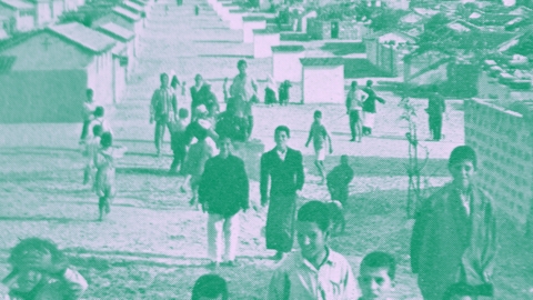 مشاريع الترانسفير