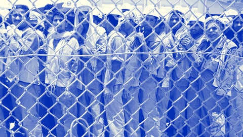 اللانظامية