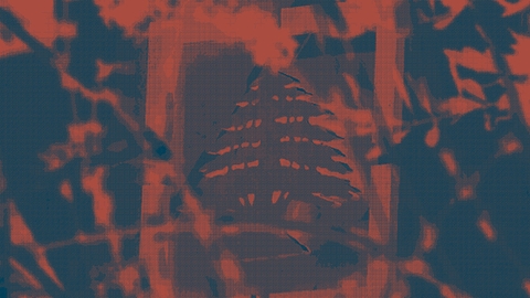 مصرف لبنان: تحليل جنائي