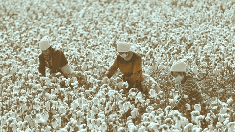 الإكراه على العمل في ظل «الاقتصادات الحرة»