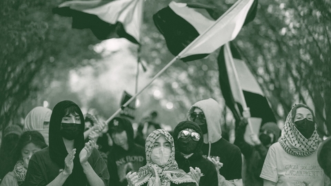 الجامعات الاميركية