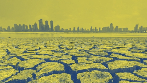 الصين والتحوّل الطاقوي