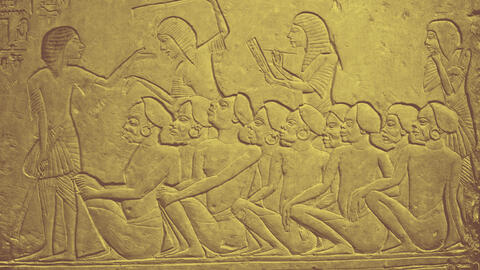 new labor law egypt