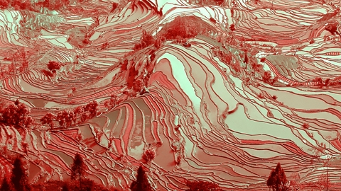 degrowth saves planes