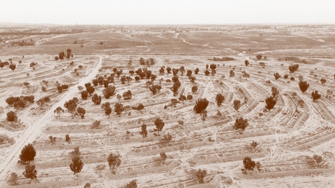 الغسيل الأخضر في إسرائيل