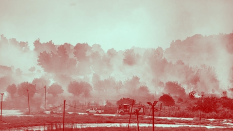 destroyed agriculture