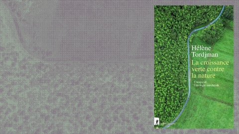 هل يمكن للرأسمالية أن تكون خضراء