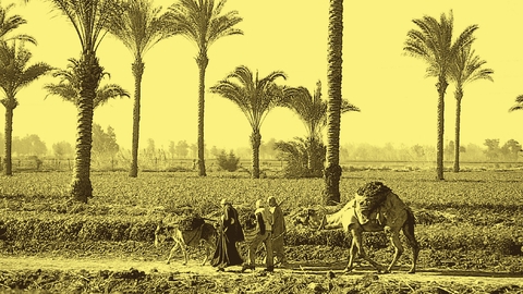 Food Sovereignty in Egypt