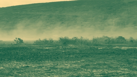 انخفاض إنتاج الحبوب الشتوية في لبنان بسبب الحرب والمناخ