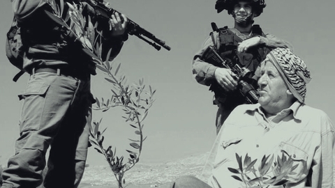 حق تقرير المصير في الزراعة: فرخة الفلسطينية نموذجاً