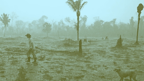 التقدّم بأي ثمن؟ الوعود الزائفة للذكاء الاصطناعي