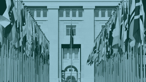 من سياسات التمويل إلى أزمة شرعية الأمم المتحدة على حافة الانهيار