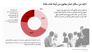 الأمن الغذائي في لبنان في ظل الحرب