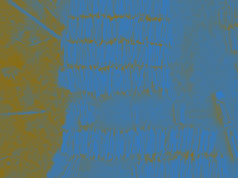 التبعات السياسية لتخفيض النمو