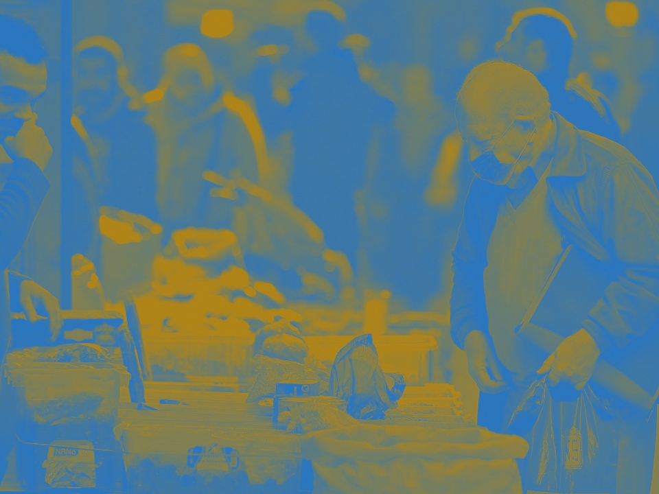 الدخل الأساسي الشامل