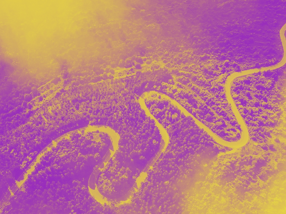 الغسيل الاخضر