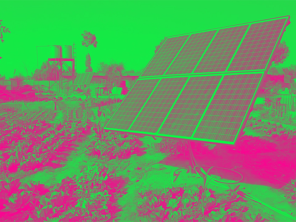 الطاقة المتجددة والزراعة