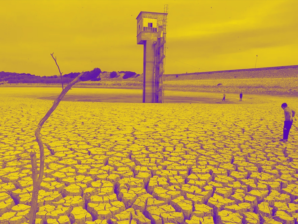 تونس والبنك الدولي