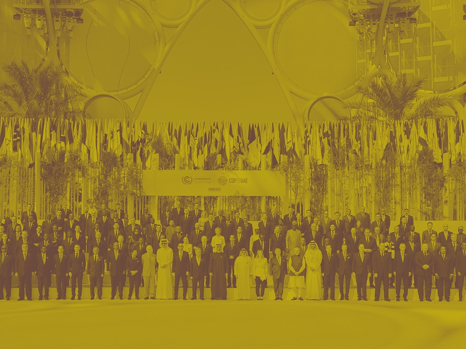 الغسيل الأخضر