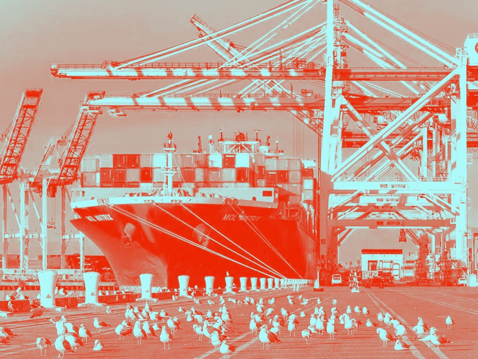 بدائل البحر الأحمر