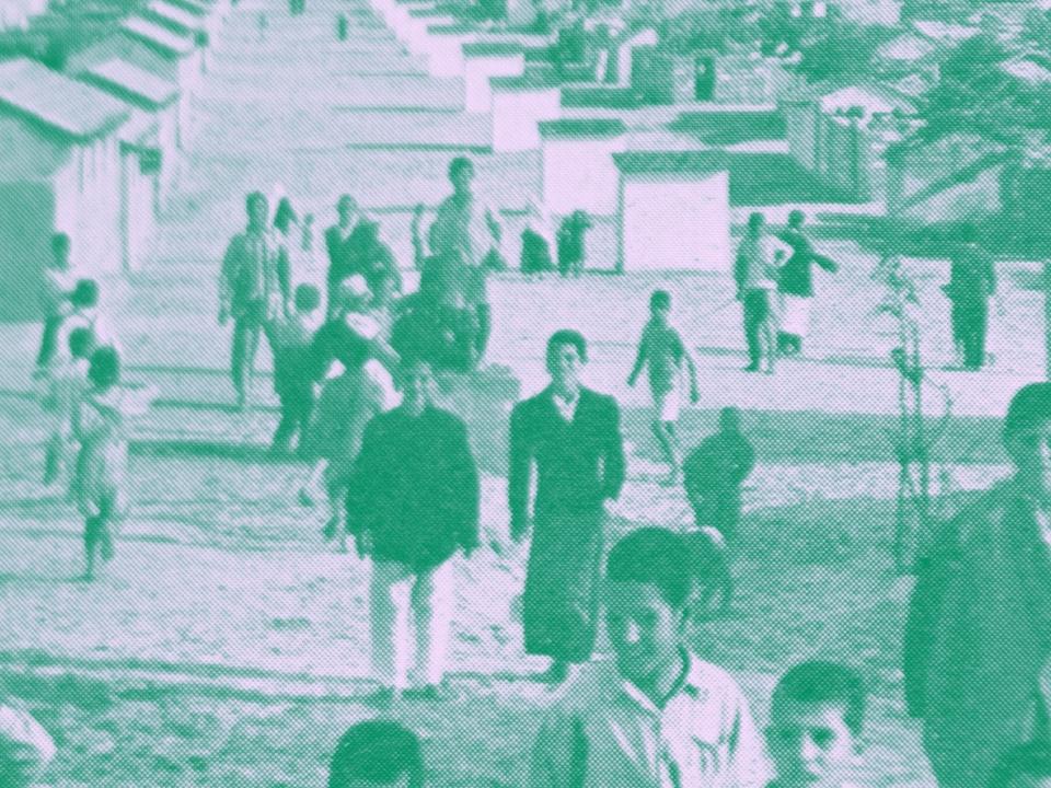 مشاريع الترانسفير