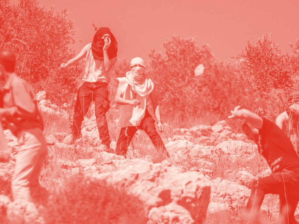 زراعة الزيتون