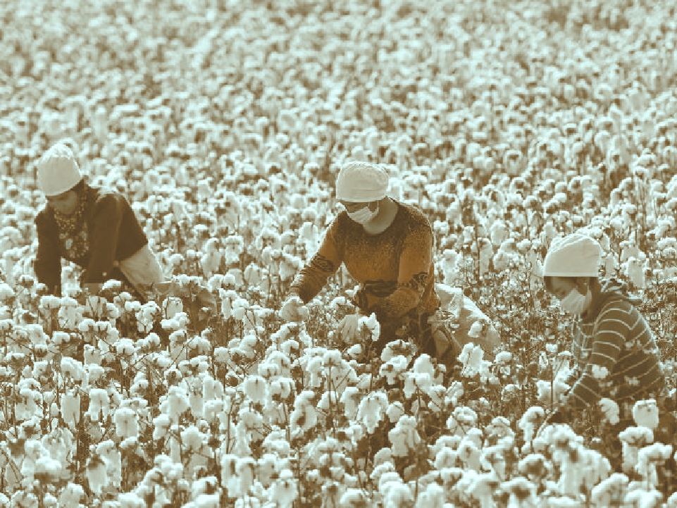 الإكراه على العمل في ظل «الاقتصادات الحرة»