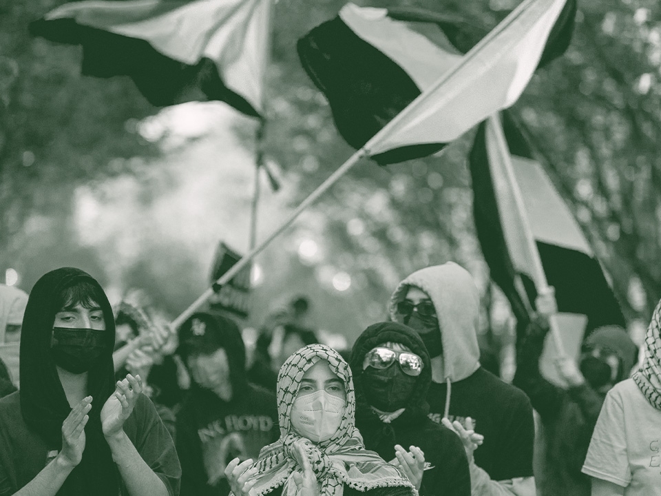 الجامعات الاميركية