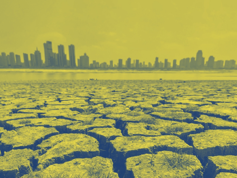 الصين والتحوّل الطاقوي