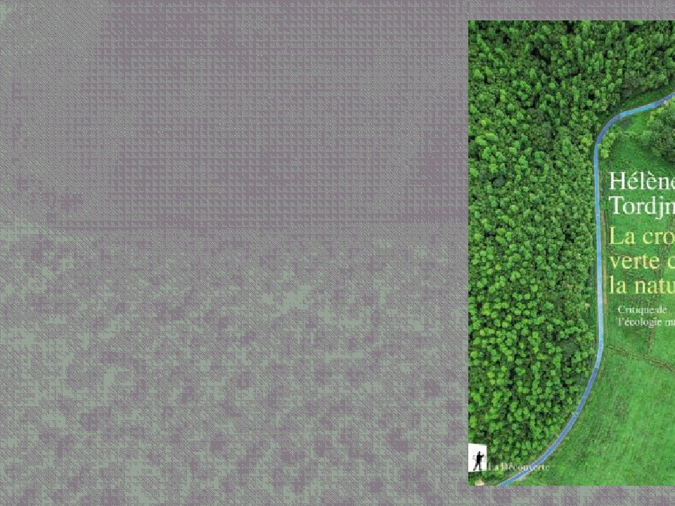 هل يمكن للرأسمالية أن تكون خضراء