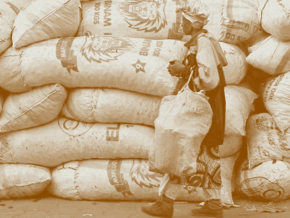 debt in developing countries