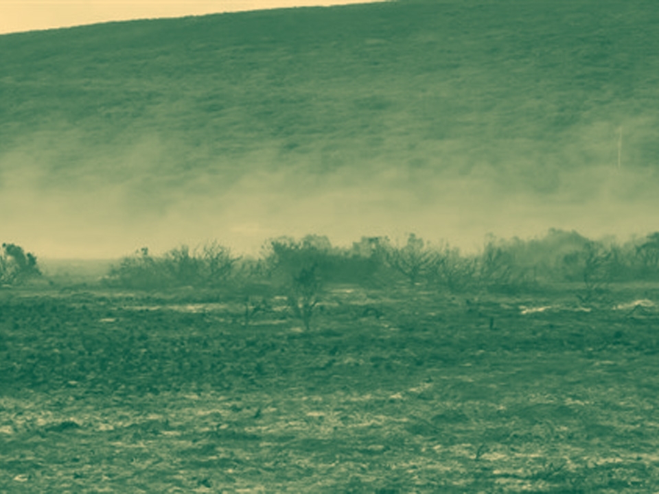 انخفاض إنتاج الحبوب الشتوية في لبنان بسبب الحرب والمناخ