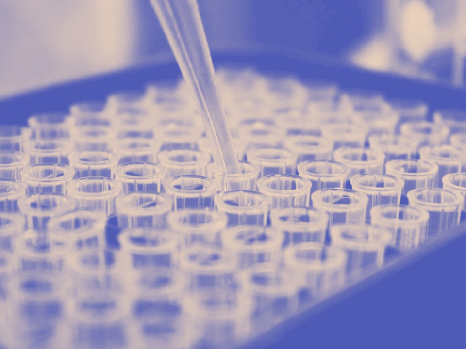 الموت في علب الدواء المرخصة