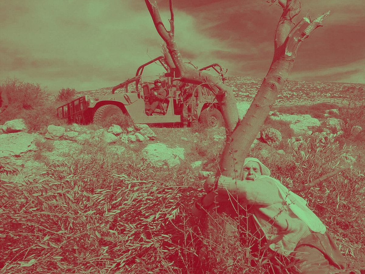 الإبادة البيئية والإمبريالية وتحرير فلسطين