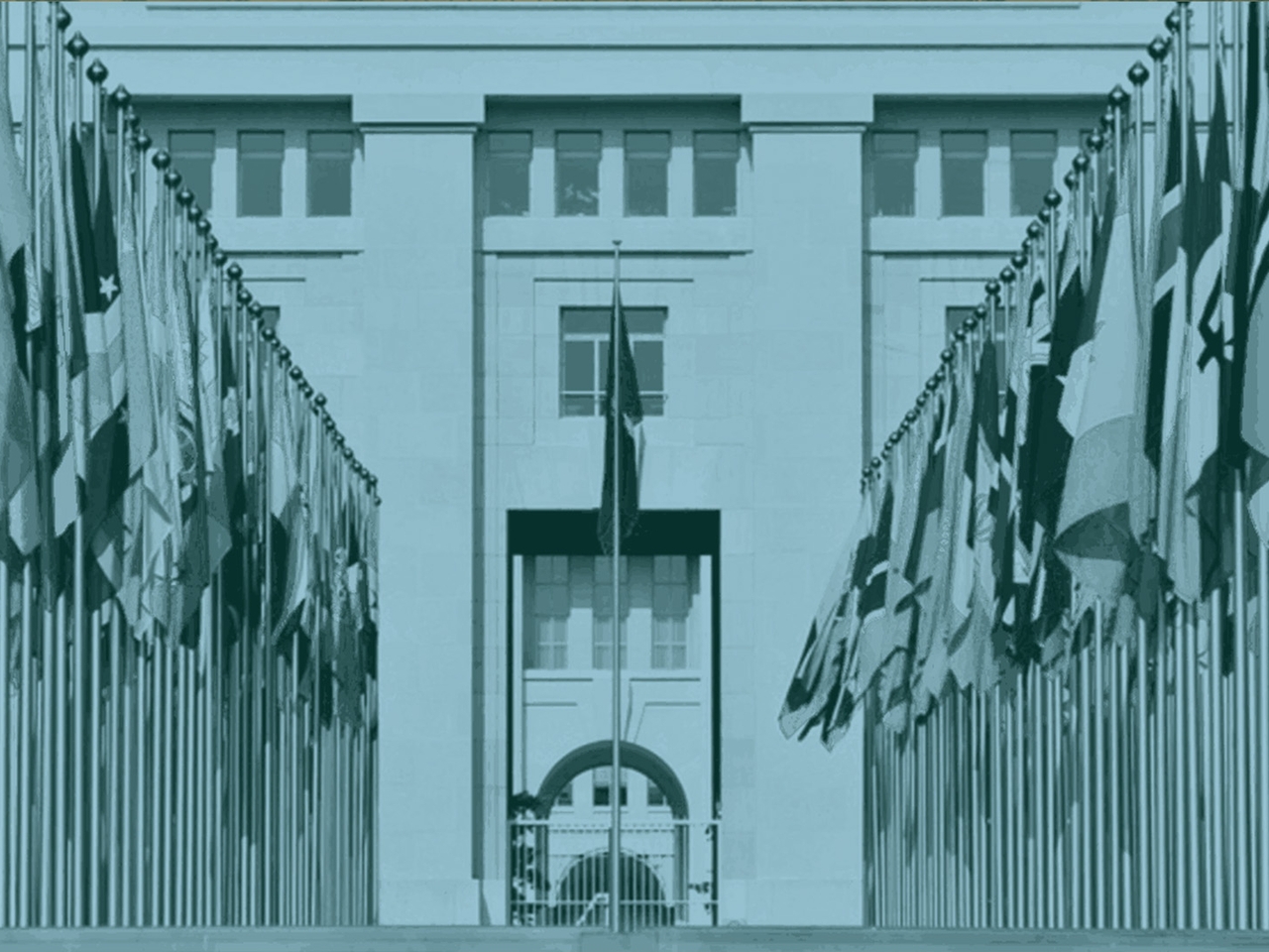 من سياسات التمويل إلى أزمة شرعية الأمم المتحدة على حافة الانهيار