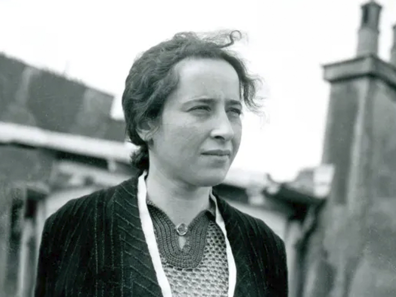 النظرية الاجتماعية: حنة آرنت