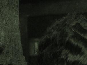 التضخّم العالمي: الأسباب والتداعيات