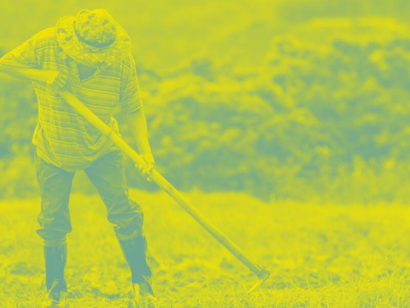 الزراعة في لبنان