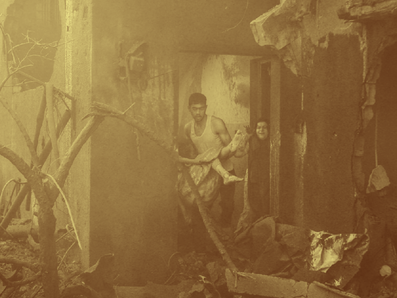 غسان أبو ستة