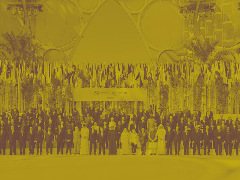 الغسيل الأخضر