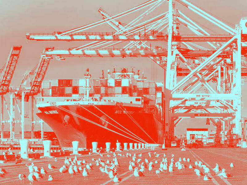 بدائل البحر الأحمر