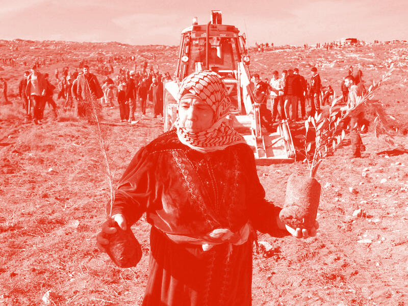 تفكيك الاستعمار في فلسطين