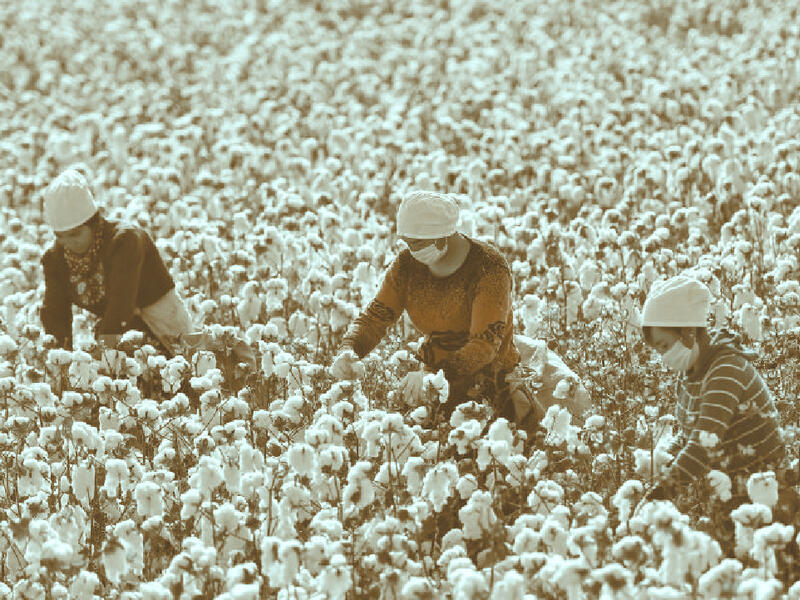 الإكراه على العمل في ظل «الاقتصادات الحرة»