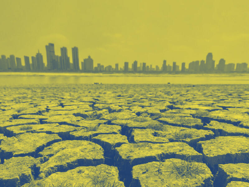 الصين والتحوّل الطاقوي