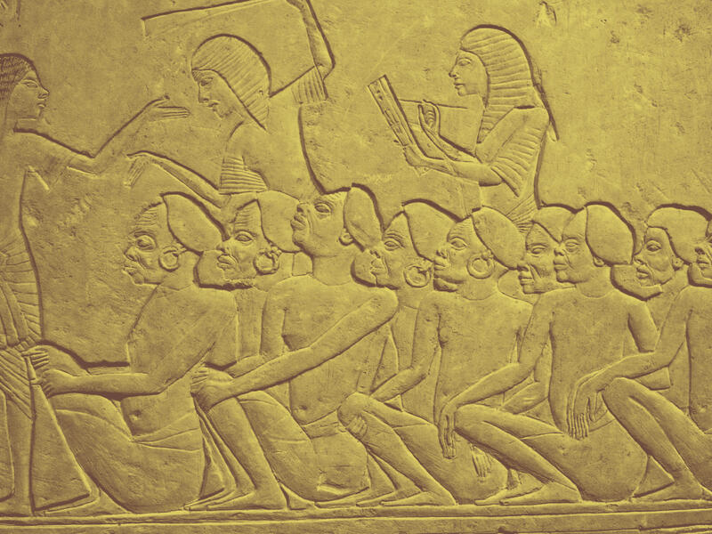 new labor law egypt