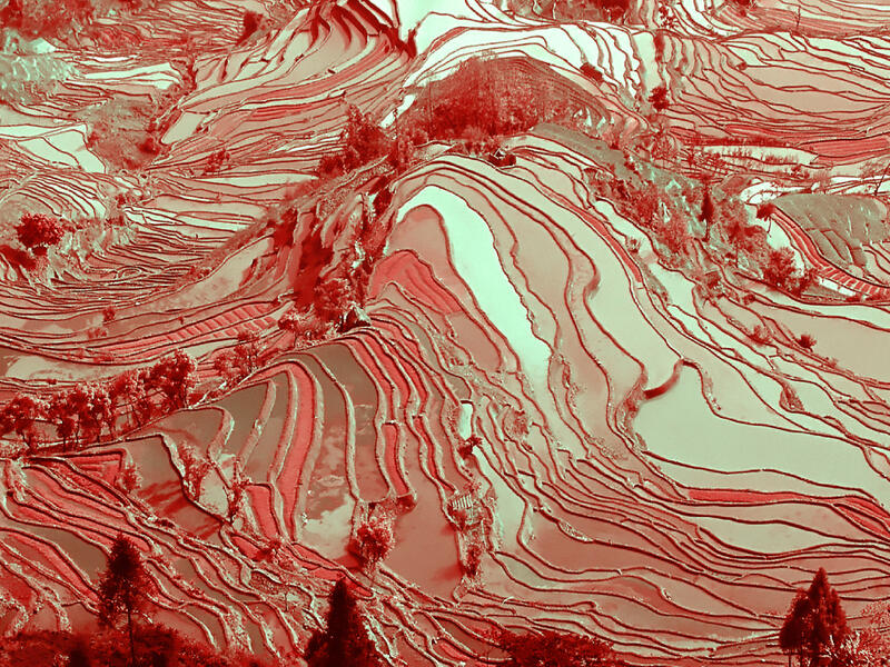 degrowth saves planes